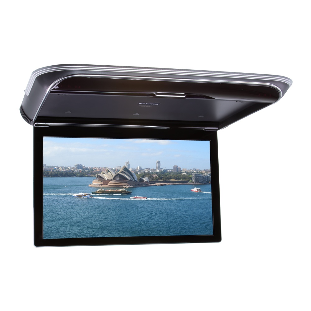 Stropní LCD monitor 17,3 s OS. Android USB/HDMI/IR/FM, dálkové ovládání se snímačem pohybu, černá (ds-173Acbl)