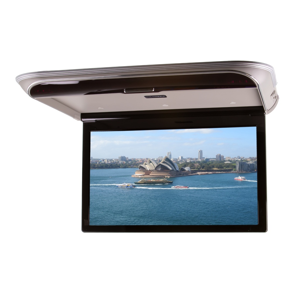 Stropní LCD monitor 19,5 s OS. Android USB/HDMI/IR/FM, dálkové ovládání se snímačem pohybu, šedá (ds-195Acgr)
